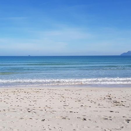 Ideal Property Mallorca - Concha Port de Alcudia  Exteriör bild