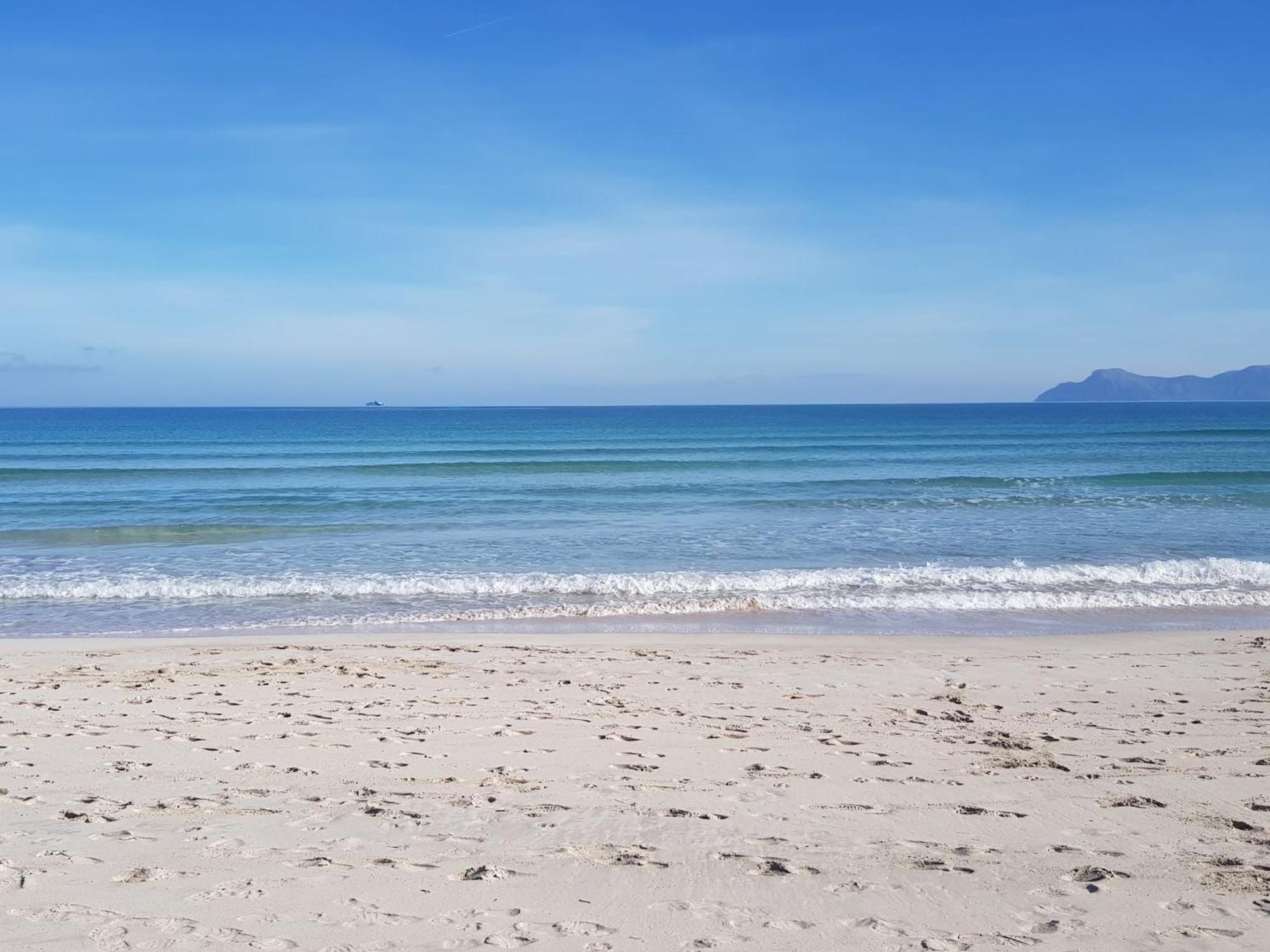 Ideal Property Mallorca - Concha Port de Alcudia  Exteriör bild